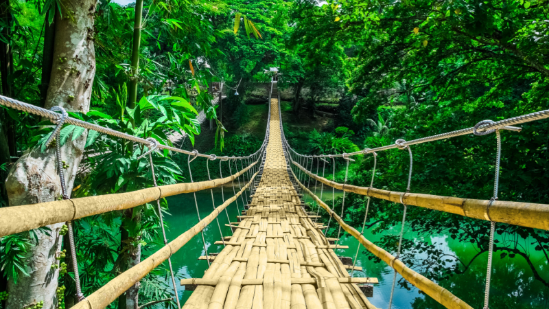 Luma Island Forest Guide: How to Unlock It