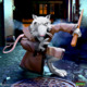 Gallery image 24
