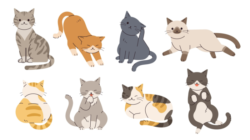 All Rise of the Rōnin 100 Cats Location Guide