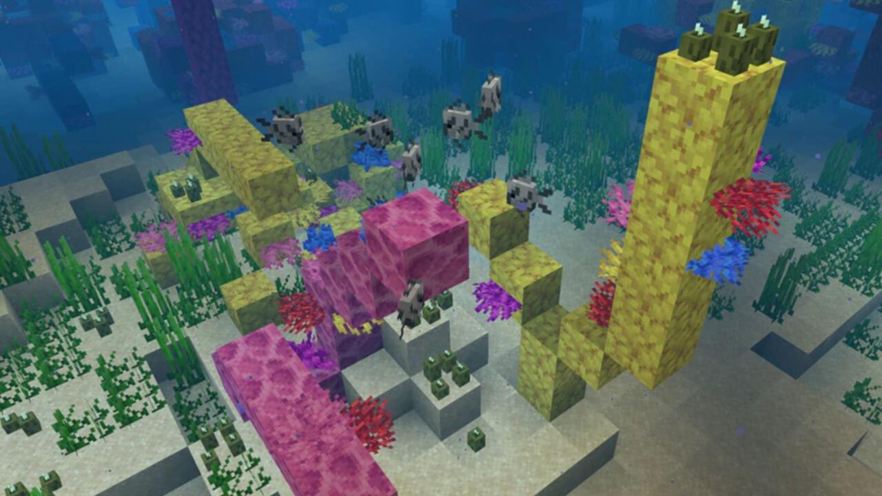 Coral is found in warm oceans