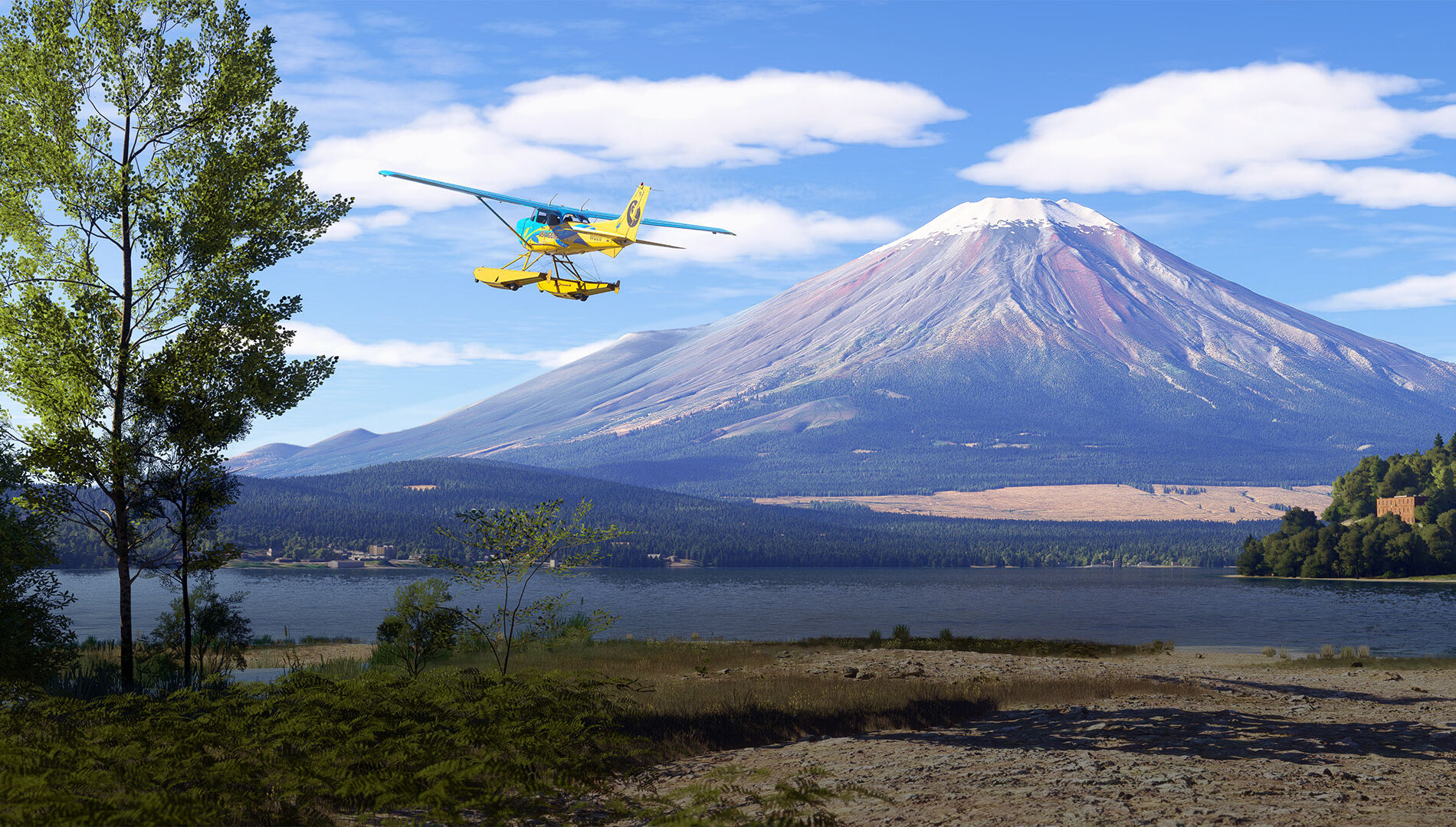 Flight Simulator Hero Image